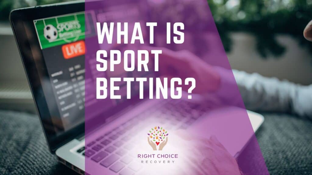 New Sportsbooks with Modern UI 4