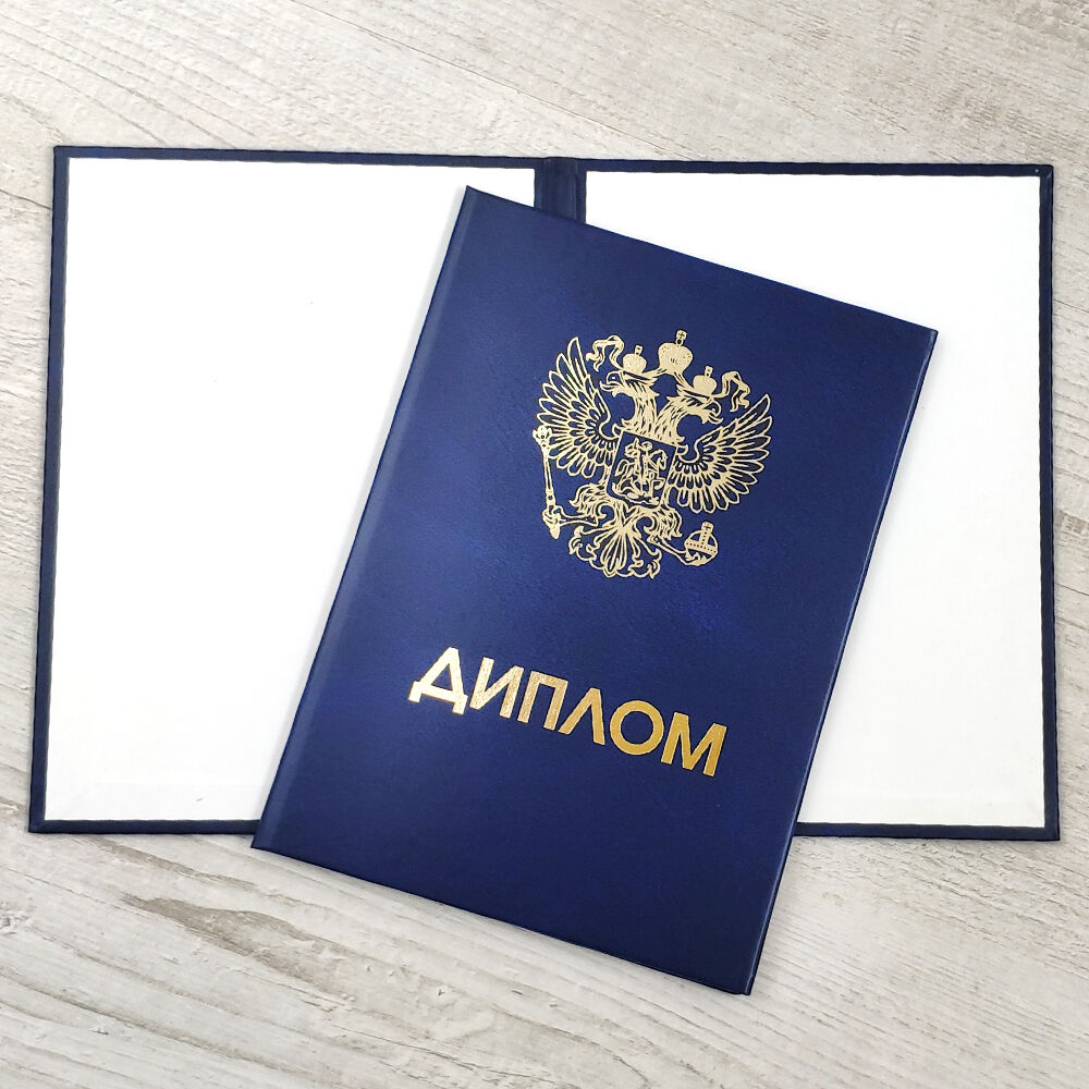 Купить диплом СПбИЭКиДА на оригинальном бланке -539665123