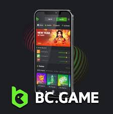 Exceptional Support The BC Game Customer Support Team Exceptional Support The BC Game Customer Support Team