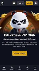 Exciting New Releases at Bitfortune Casino -1174578871