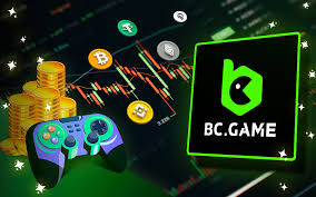 Understanding the Functionality of the BC App