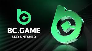 Experience Casino Gaming on the Go with the BC.Game Mobile App